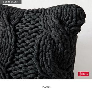 NWOT Pottery barn pillow cover x2!